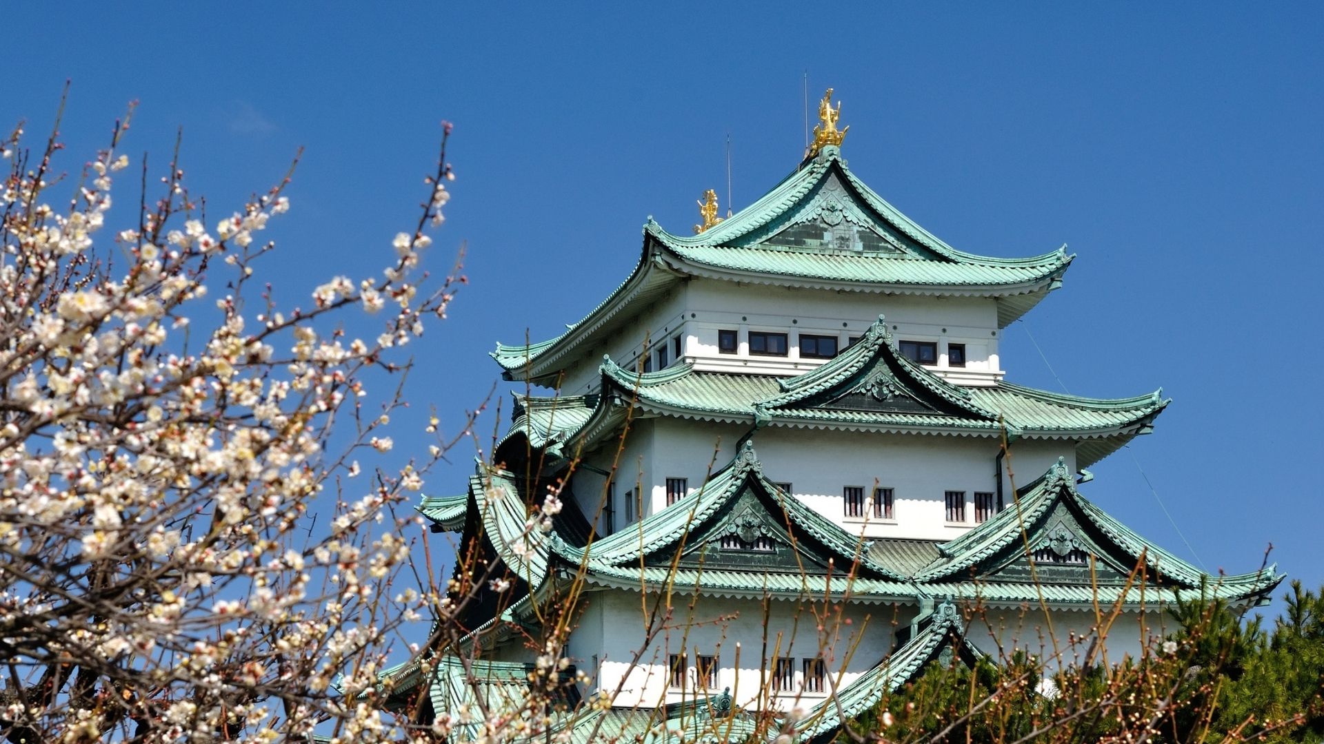 ปราสาทนาโกย่า